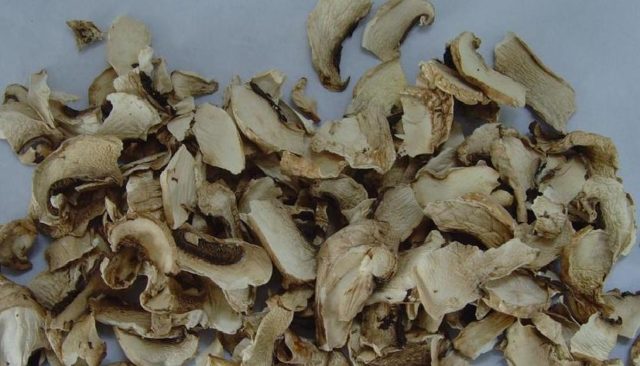 Dried champignons: how to dry in an electric dryer, in the oven