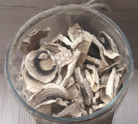 Dried champignons: how to dry in an electric dryer, in the oven