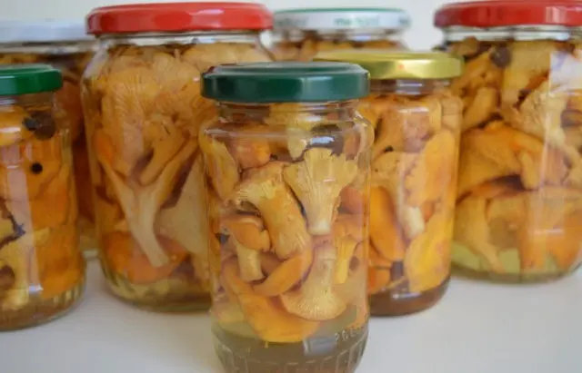 Dried chanterelles: medicinal properties, recipes, application