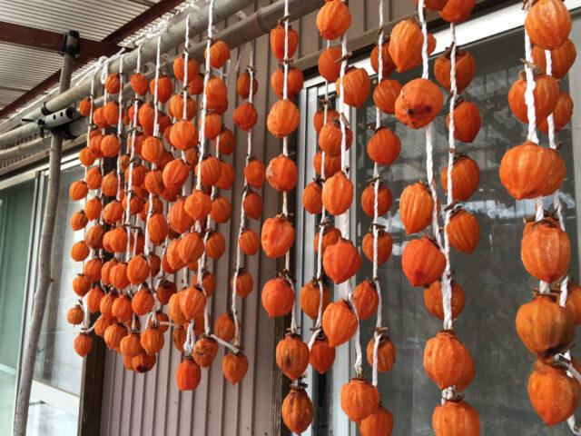 Dried (dried) persimmon: useful properties and contraindications, how to eat, how many calories