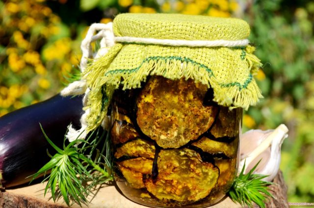 Dried eggplant for the winter at home