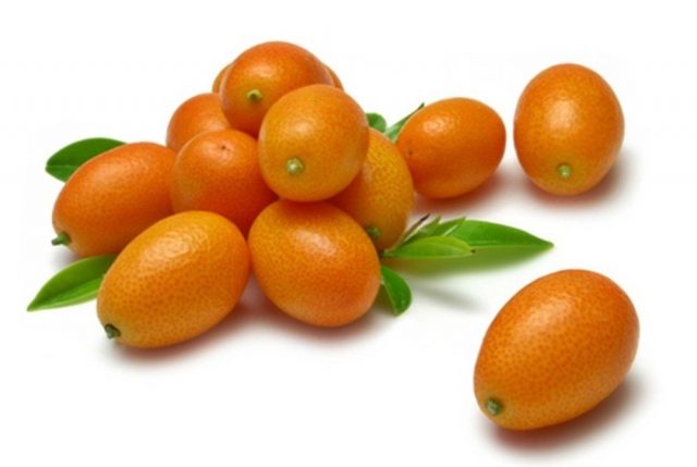 Dried kumquat: useful properties and contraindications