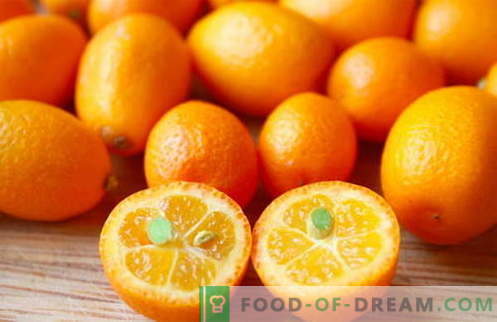 Dried kumquat: useful properties and contraindications