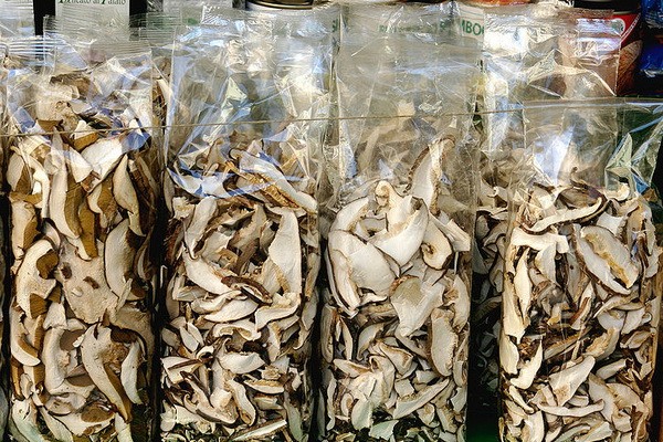 Dried oyster mushrooms and recipes from them