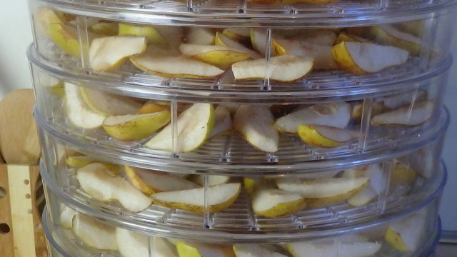 Dried pears at home