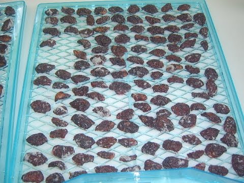 Dried plums at home