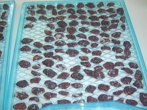 Dried plums at home