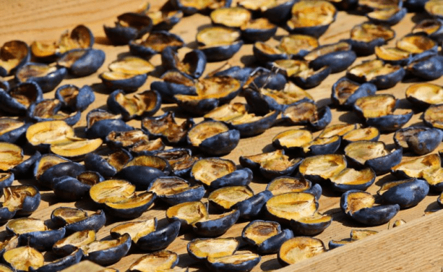 Dried plums at home