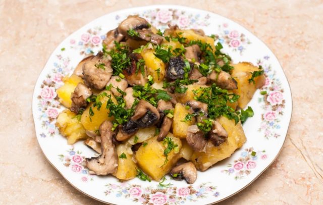 Dried porcini mushrooms: how to cook, the best recipes