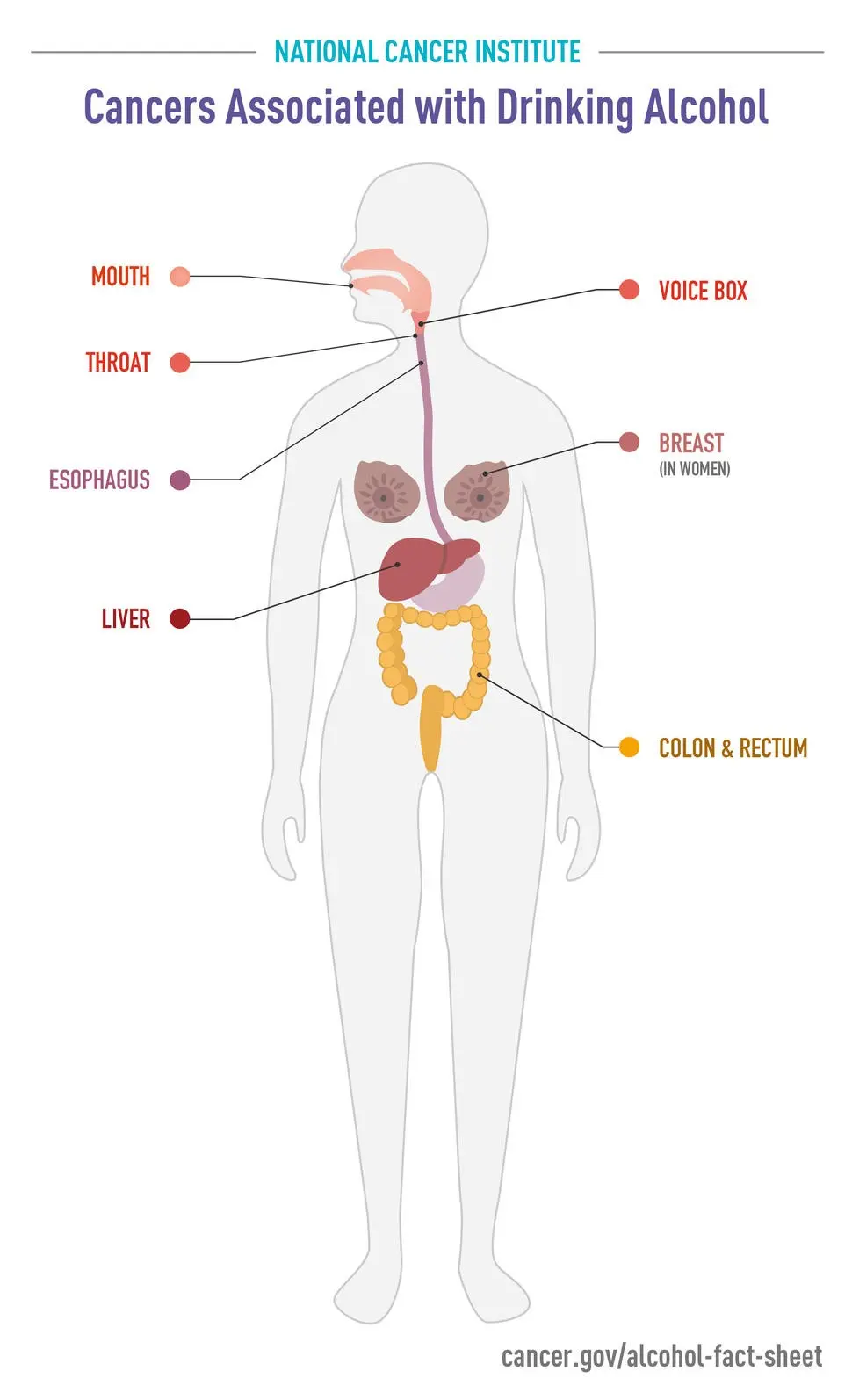 Drinking alcohol increases the risk of cancer. Science has a lot of evidence for this