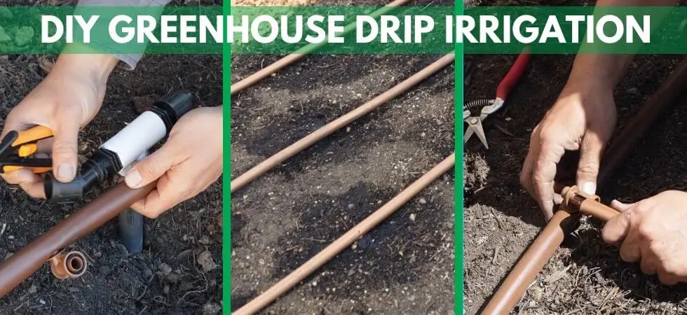 Drip irrigation for a greenhouse: do it yourself