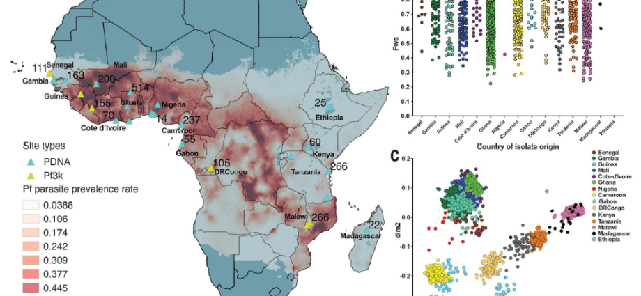 Drug-resistant malaria may appear in Africa