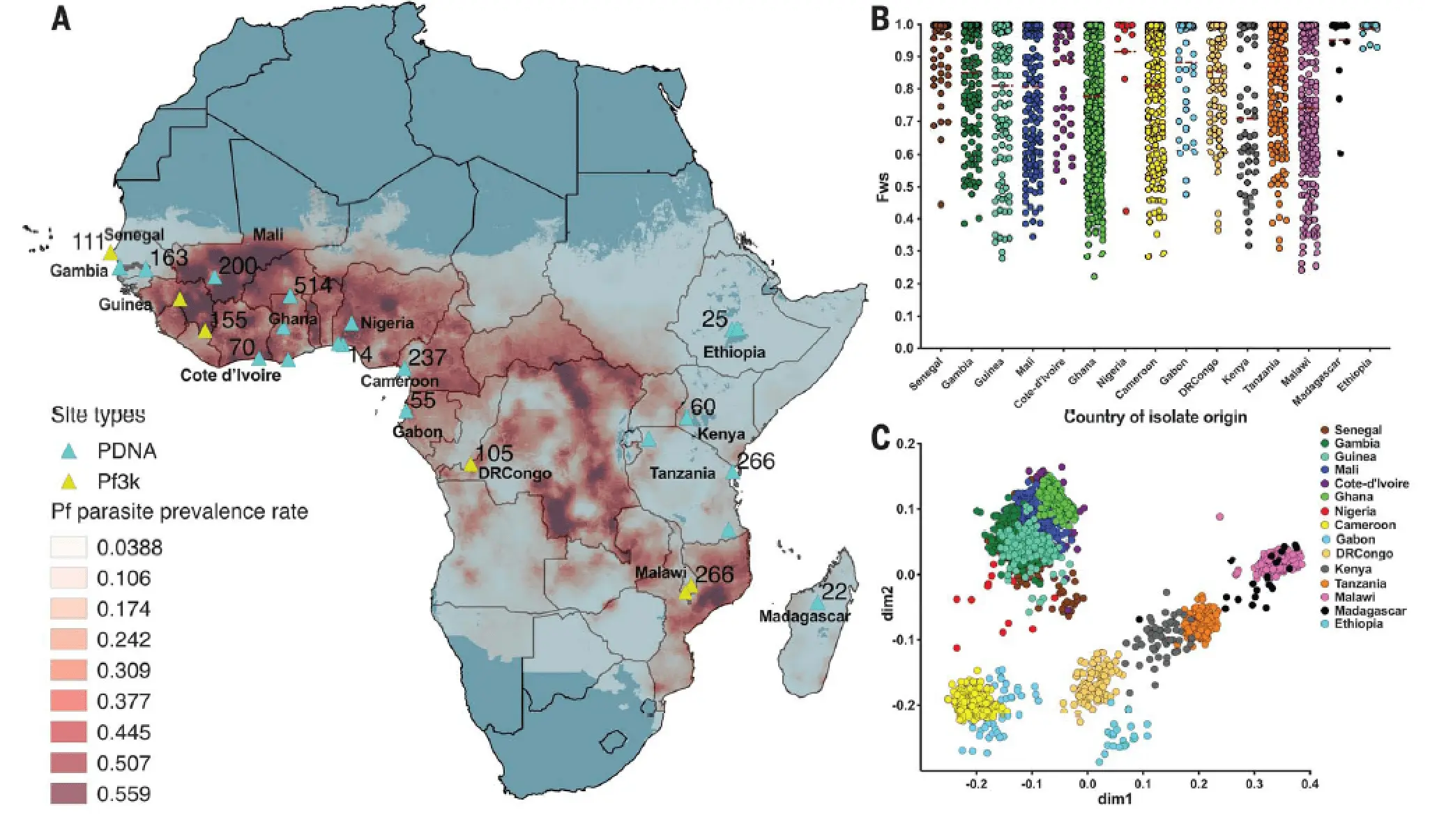 Drug-resistant malaria may appear in Africa