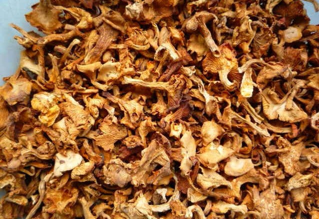 Dry chanterelle recipes: how to cook mushrooms, dishes