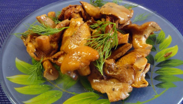 Dry chanterelle recipes: how to cook mushrooms, dishes