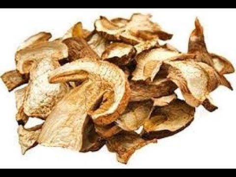 Dry milk mushrooms (white dressings) for the winter: cooking recipes