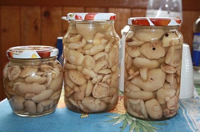 Dry mushroom salting: recipes for pickling crispy mushrooms at home