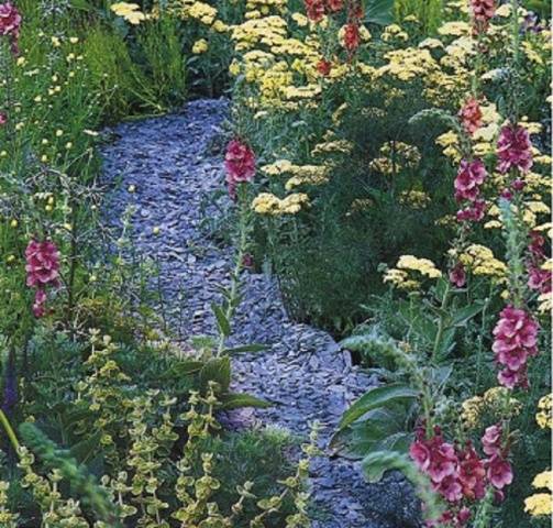 Dry stream in landscape design + photo