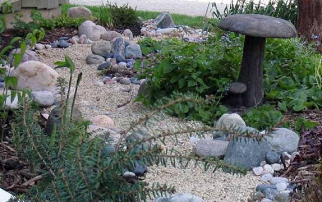 Dry stream in landscape design + photo