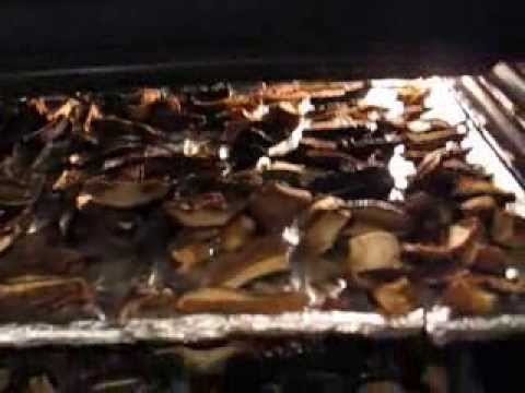 Drying autumn mushrooms: recipes for the winter