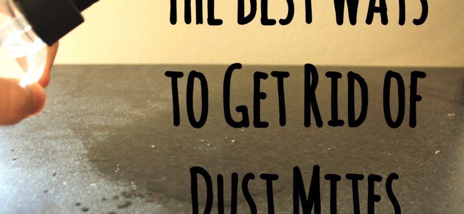 Dust mites &#8211; where are most of them and how can I get rid of them? Ways to prevent dust mites