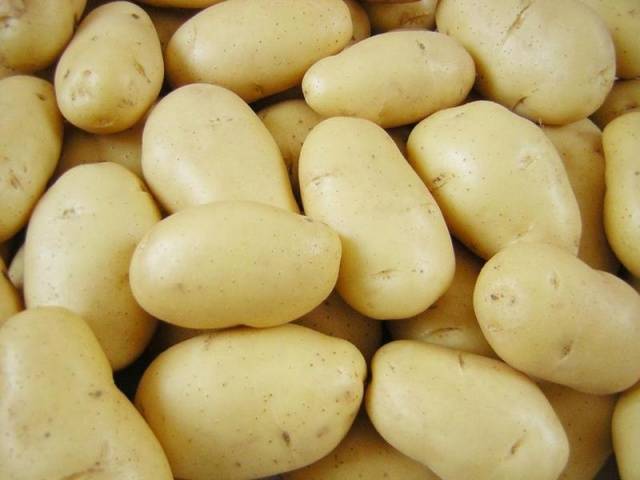 Dutch potato varieties