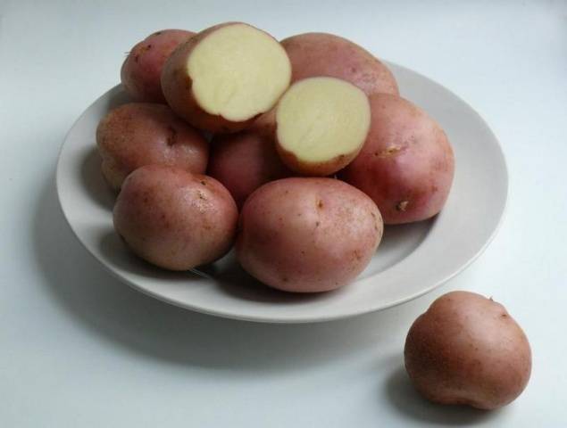 Dutch potato varieties