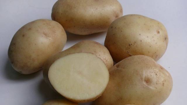 Dutch potato varieties