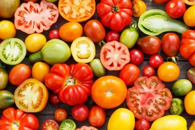 Dutch selection tomatoes: the best varieties