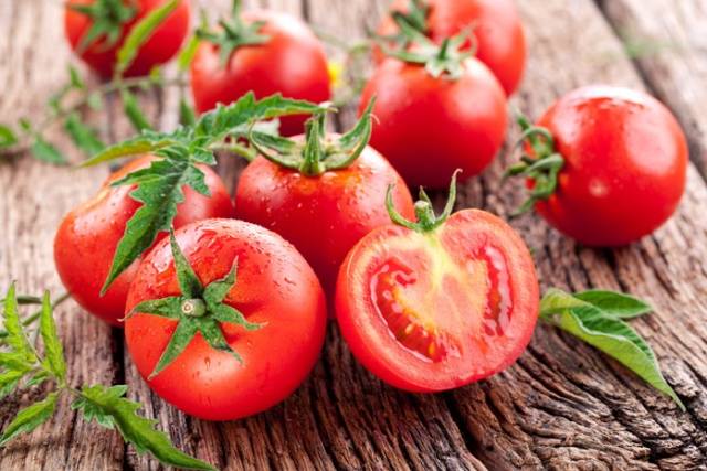 Dutch selection tomatoes: the best varieties