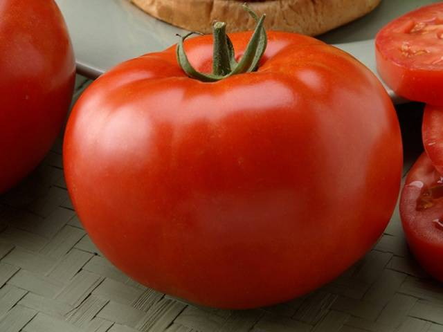 Dutch varieties of tomatoes for greenhouses