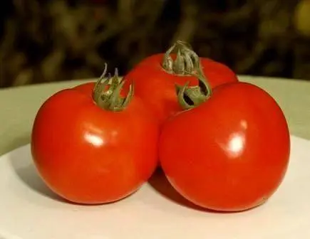 Dutch varieties of tomatoes for open ground