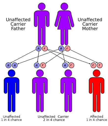 Dwarf syndrome &#8211; how common is it? Donohue syndrome diagnosis and treatment