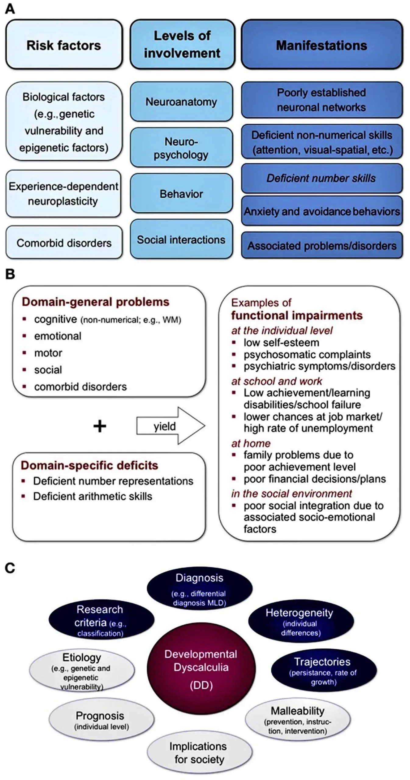 Dyscalculia &#8211; symptoms, diagnosis and exercise. What are the different types of dyscalculia?