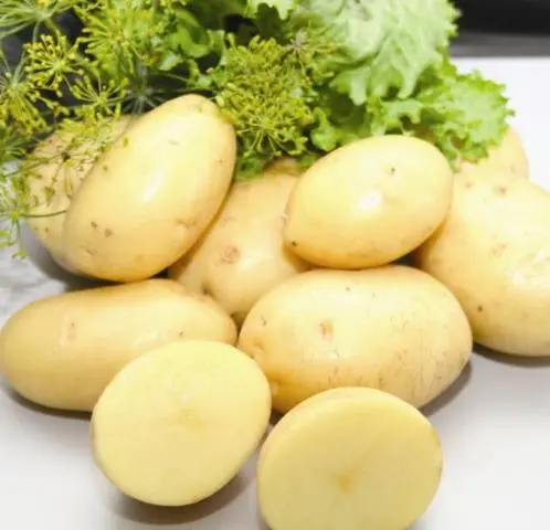 Early and ultra-early potato varieties