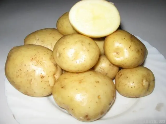 Early and ultra-early potato varieties