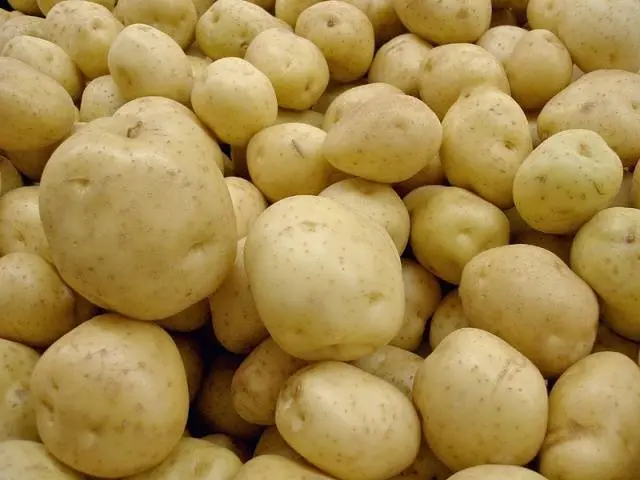 Early and ultra-early potato varieties