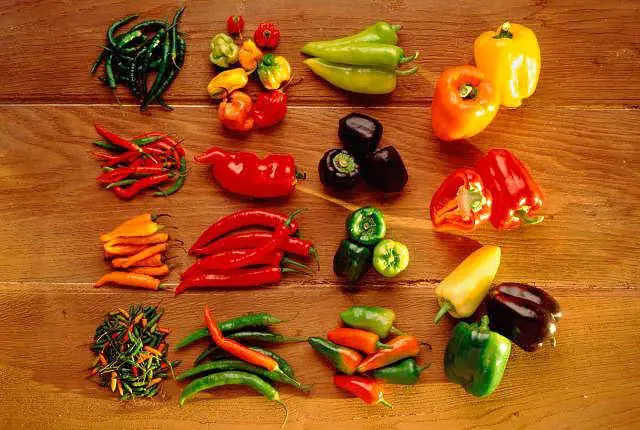 Early ripe varieties of sweet pepper