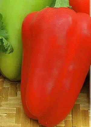 Early ripe varieties of sweet pepper