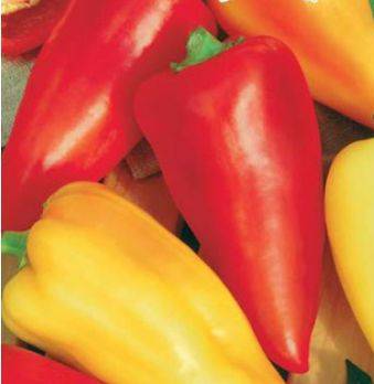 Early ripening varieties of sweet pepper for Siberia