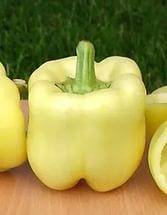 Early ripening varieties of sweet pepper for Siberia