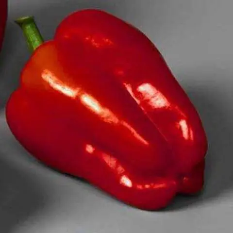 Early ripening varieties of sweet pepper for Siberia