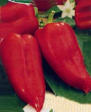 Early ripening varieties of sweet pepper for Siberia