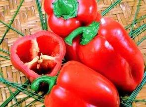 Early ripening varieties of sweet pepper for Siberia