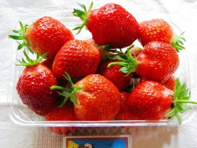 Early strawberries: the best varieties