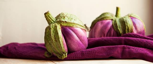 Early varieties and hybrids of eggplant for the Moscow region