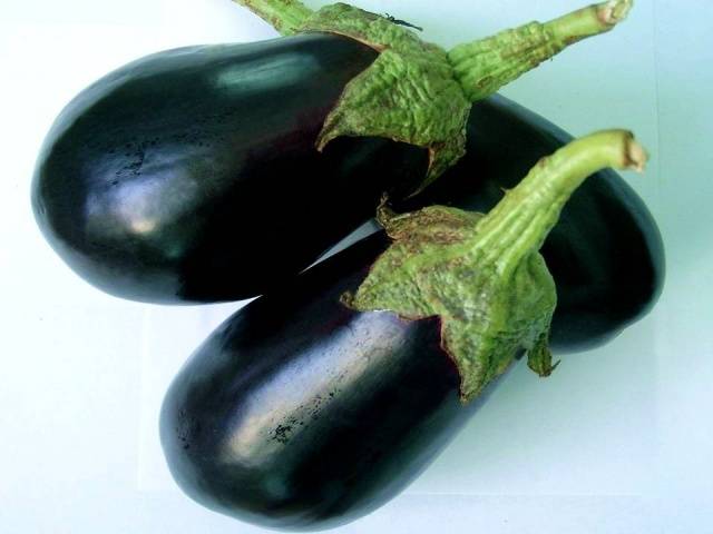 Early varieties and hybrids of eggplant for the Moscow region