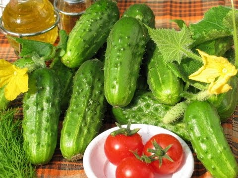 Early varieties of cucumbers: choosing the best varieties for planting