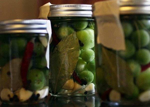 Easy recipe for small green pickled tomatoes