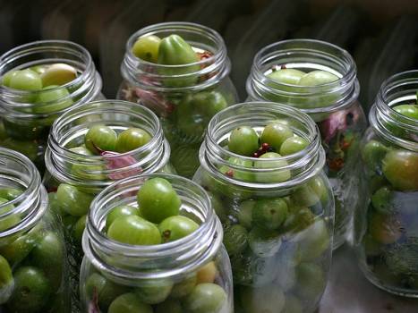 Easy recipe for small green pickled tomatoes